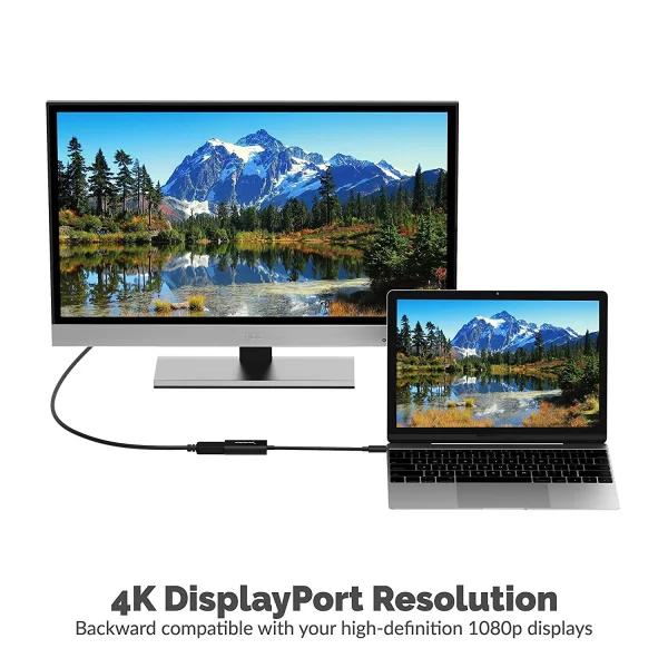 USB 3.1 Type-C to DisplayPort Adapter - Image 3